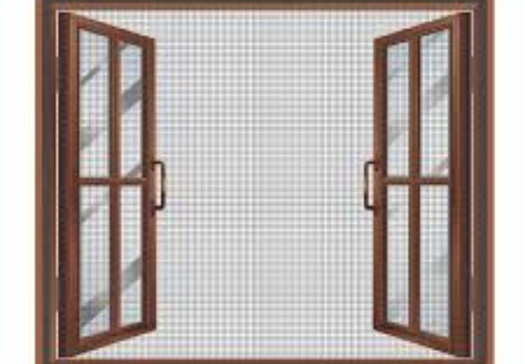 mosquito net for doors